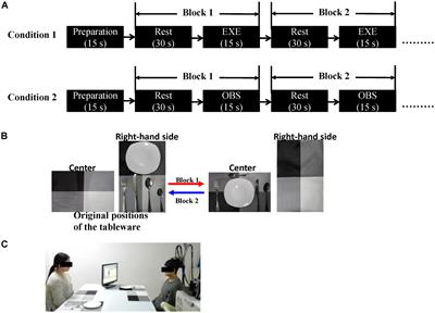 Feasibility of Functional Near-Infrared Spectroscopy (fNIRS) to Investigate the Mirror Neuron System: An Experimental Study in a Real-Life Situation